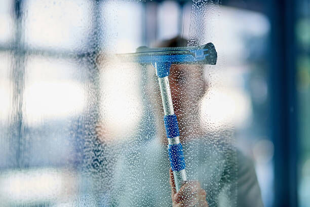 Window Screen Cleaning